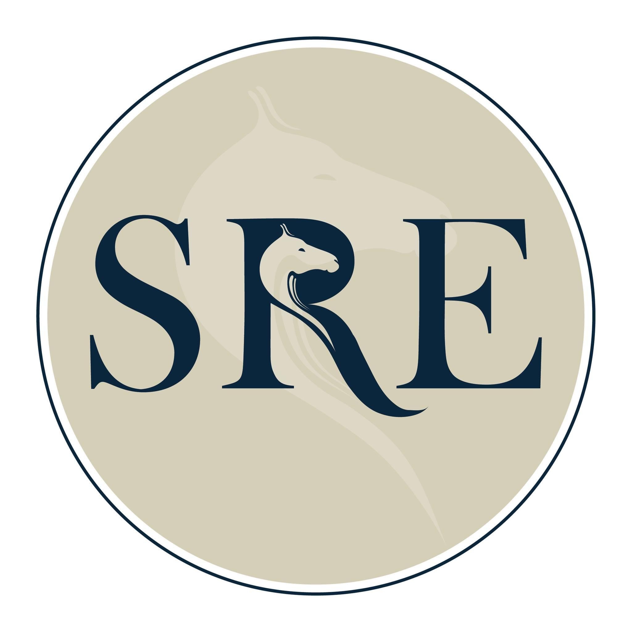 LiveryLive logo